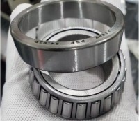 Garden Taper Roller Bearing